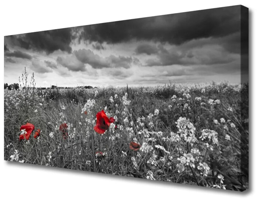 Obraz Canvas Lúka kvety príroda 140x70cm