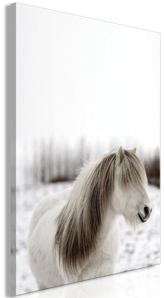 Artgeist Obraz - Horse Mane (1 Part) Vertical Veľkosť: 20x30, Verzia: Premium Print
