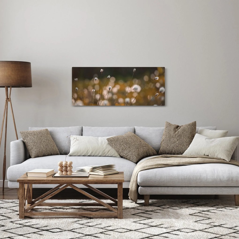 Obraz - Lúka s cottongrass N⁰2 (120x50 cm)