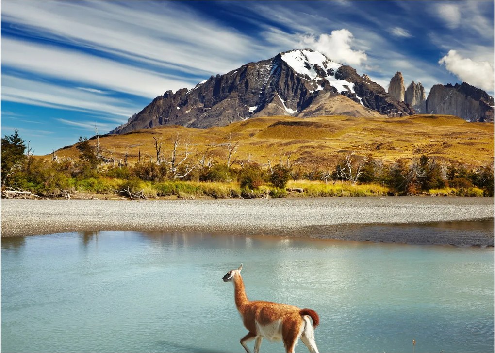 Obraz - Národný park Torres del Paine (70x50 cm)