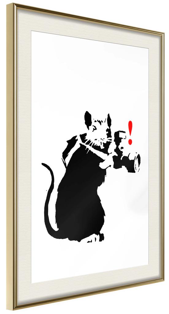 Artgeist Plagát - Rat Photographer [Poster] Veľkosť: 30x45, Verzia: Zlatý rám