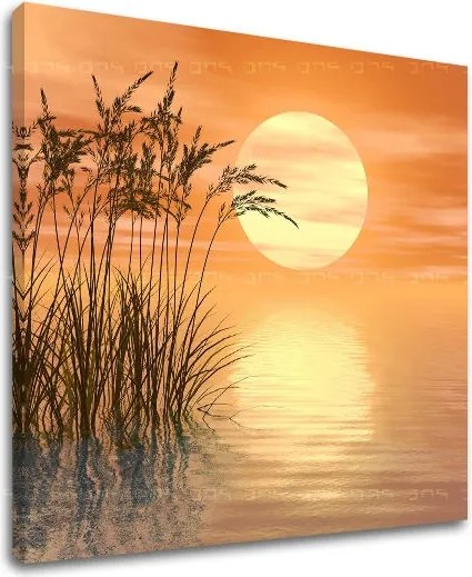 Obraz na stenu ABSTRAKT AB094E12