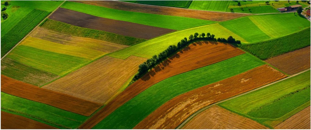 Obraz - Polia, lúky (120x50 cm)