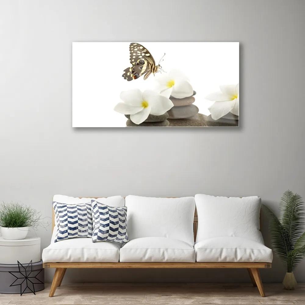 Skleneny obraz Motýľ kvet kamene rastlina 125x50 cm