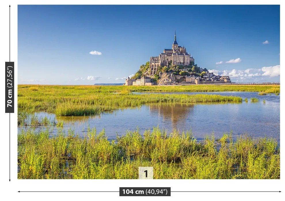 Fototapeta Vliesová Le mont saintmichel 416x254 cm