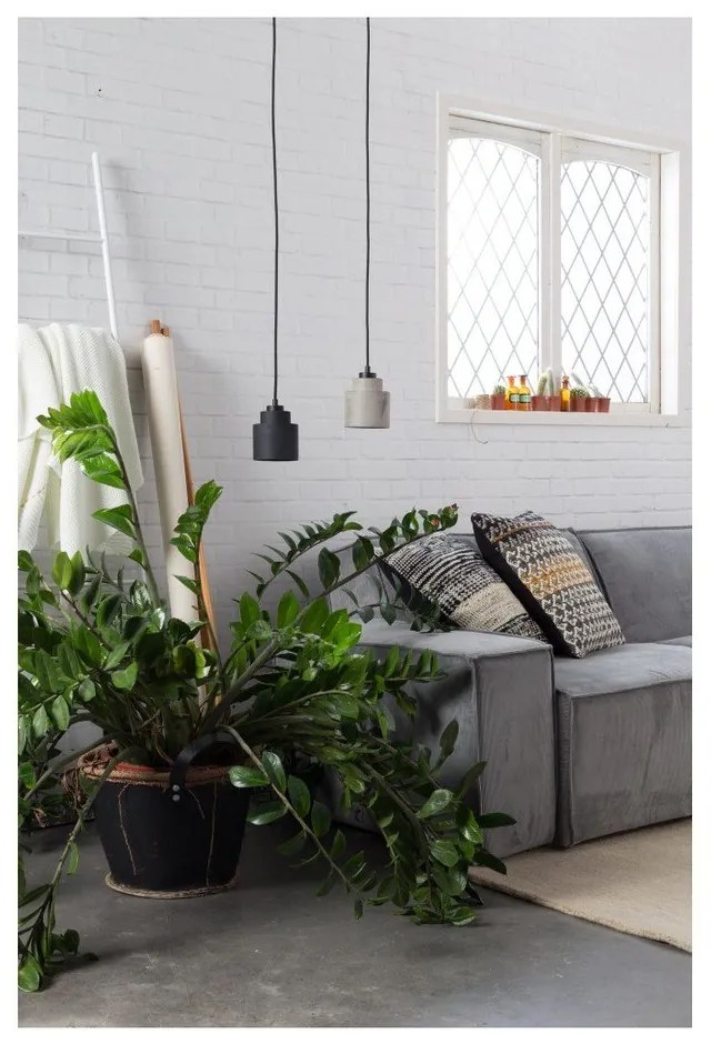 Sivé stropné svietidlo Zuiver Pendant