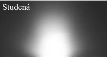 ECOLIGHT LED pásik - 230V - SMD 2835 - 1m - 60LED/m- 6W/m - 380Lm - IP68 - studená biela - 10mm