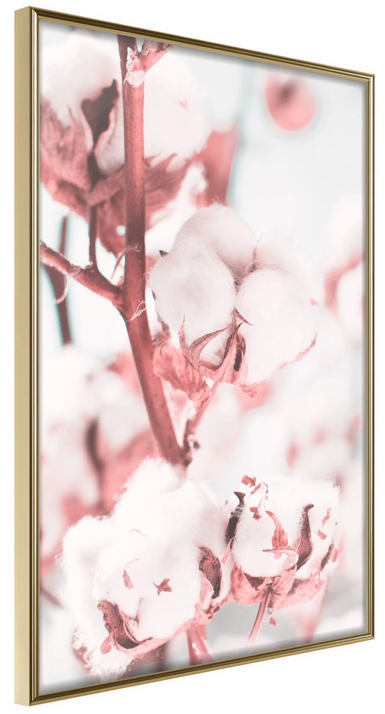 Artgeist Plagát - Blooming Cotton [Poster] Veľkosť: 30x45, Verzia: Zlatý rám s passe-partout