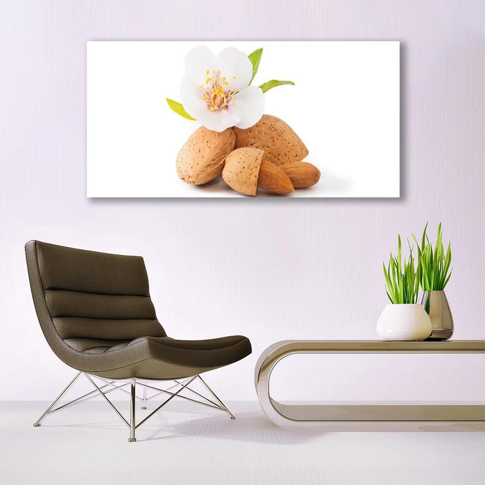 Obraz plexi Kvet pistácie príroda 120x60 cm