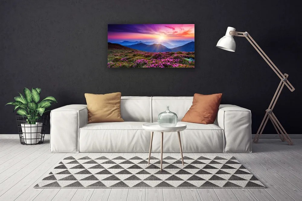 Obraz na plátne Hora lúka kvety príroda 120x60 cm