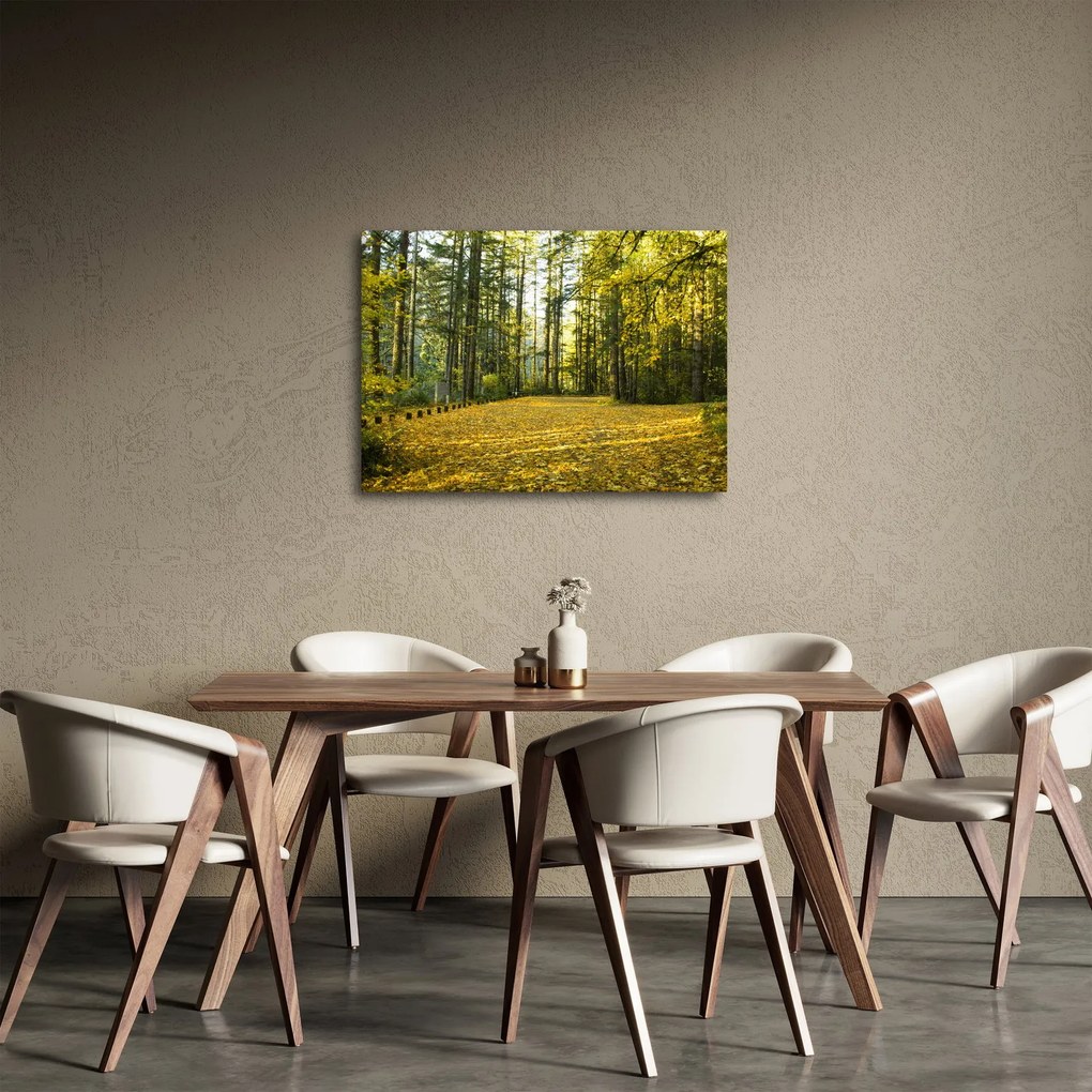 Obraz - les v jeseni (70x50 cm)