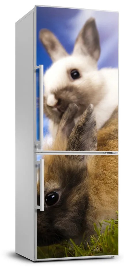 Foto tapeta na chladničku Dva králiky FridgeStick-70x190-f-48475157