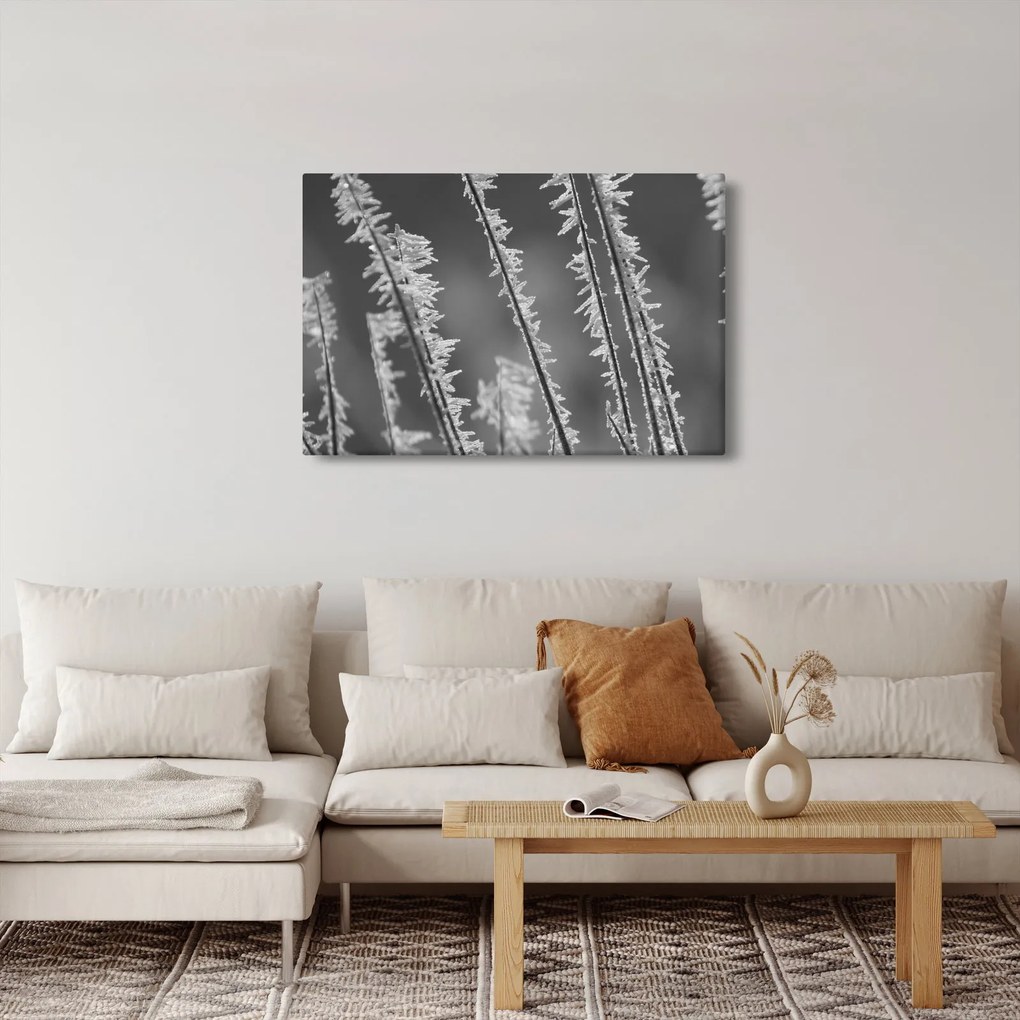 Obraz - Mrazivá zima (90x60 cm)