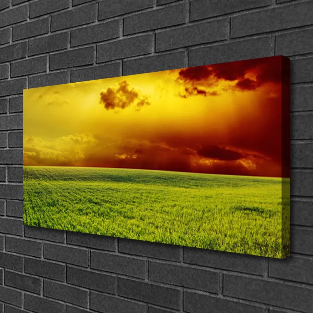 Obraz Canvas Pole príroda 140x70 cm
