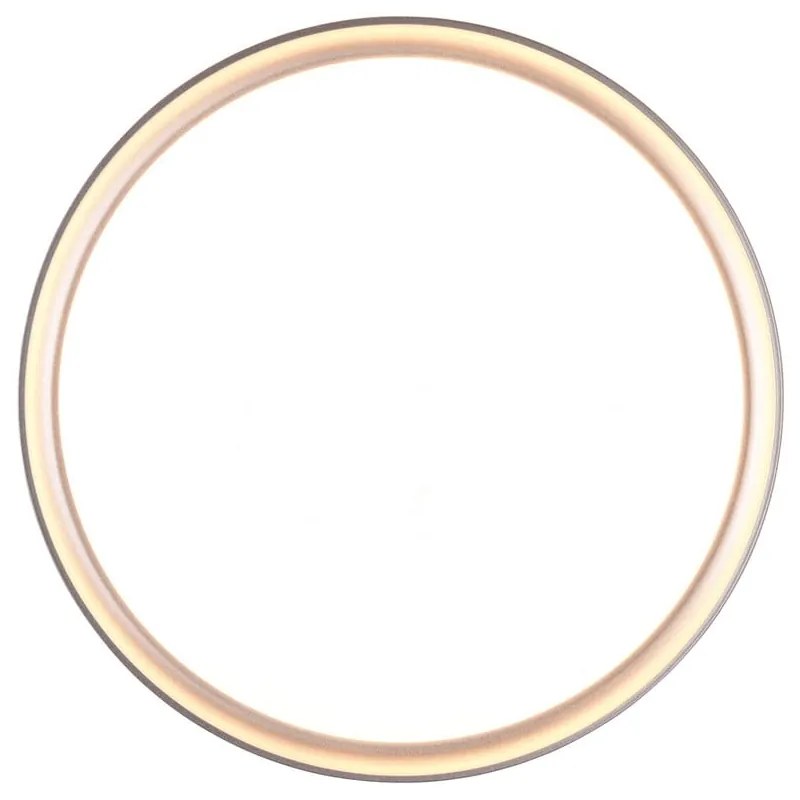 LED stropné svietidlo v striebornej farbe ø 33 cm Clarimo - Trio