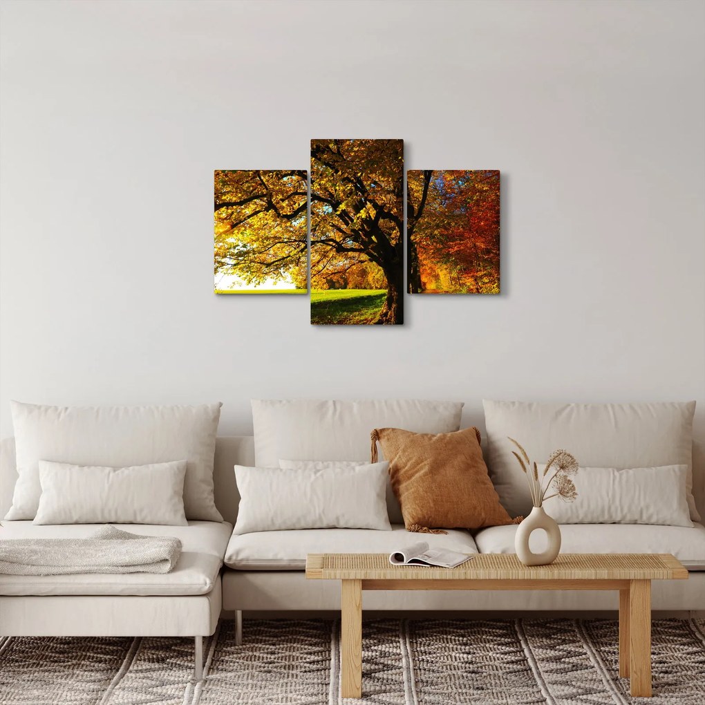 Obraz jesenného stromu (90x60 cm)
