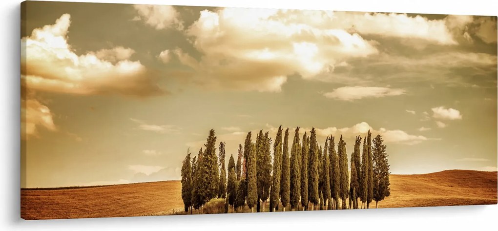 Obraz čistinky (120x50 cm)
