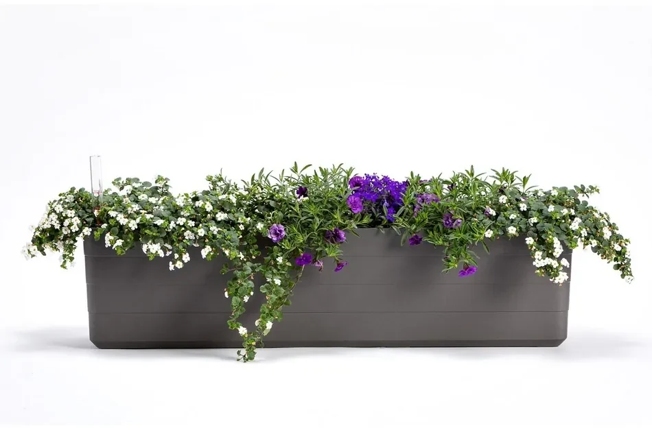 Plastia Samozavlažovací truhlík Berberis 80, antracit + zelená, 80 cm