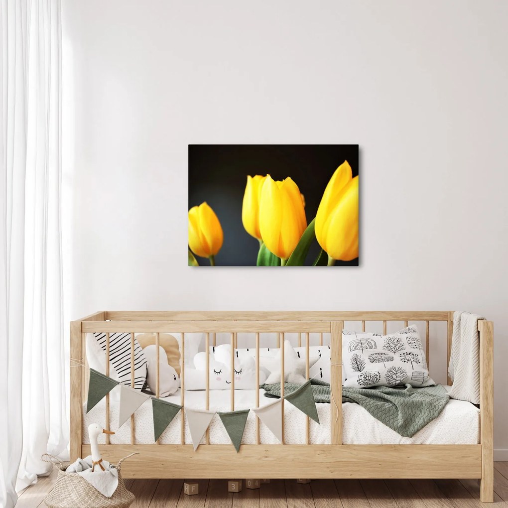 Obraz tulipánov (70x50 cm)