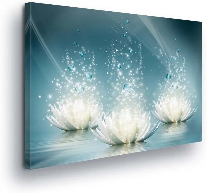 GLIX Obraz na plátne - Diamond Water Lilies II 100x75 cm