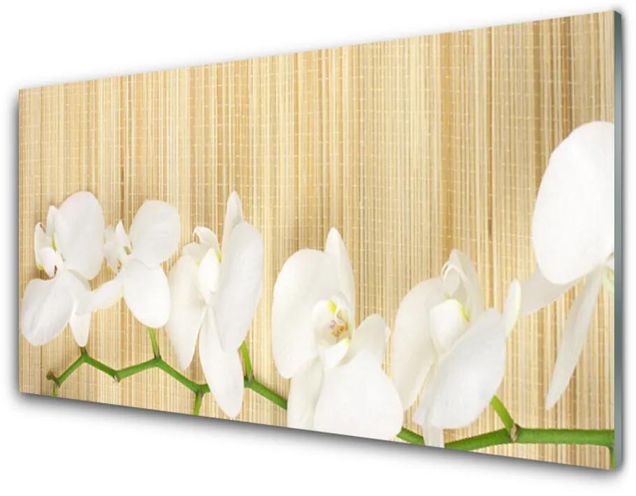 Obraz na akrylátovom skle Kvety rastlina príroda 125x50 cm