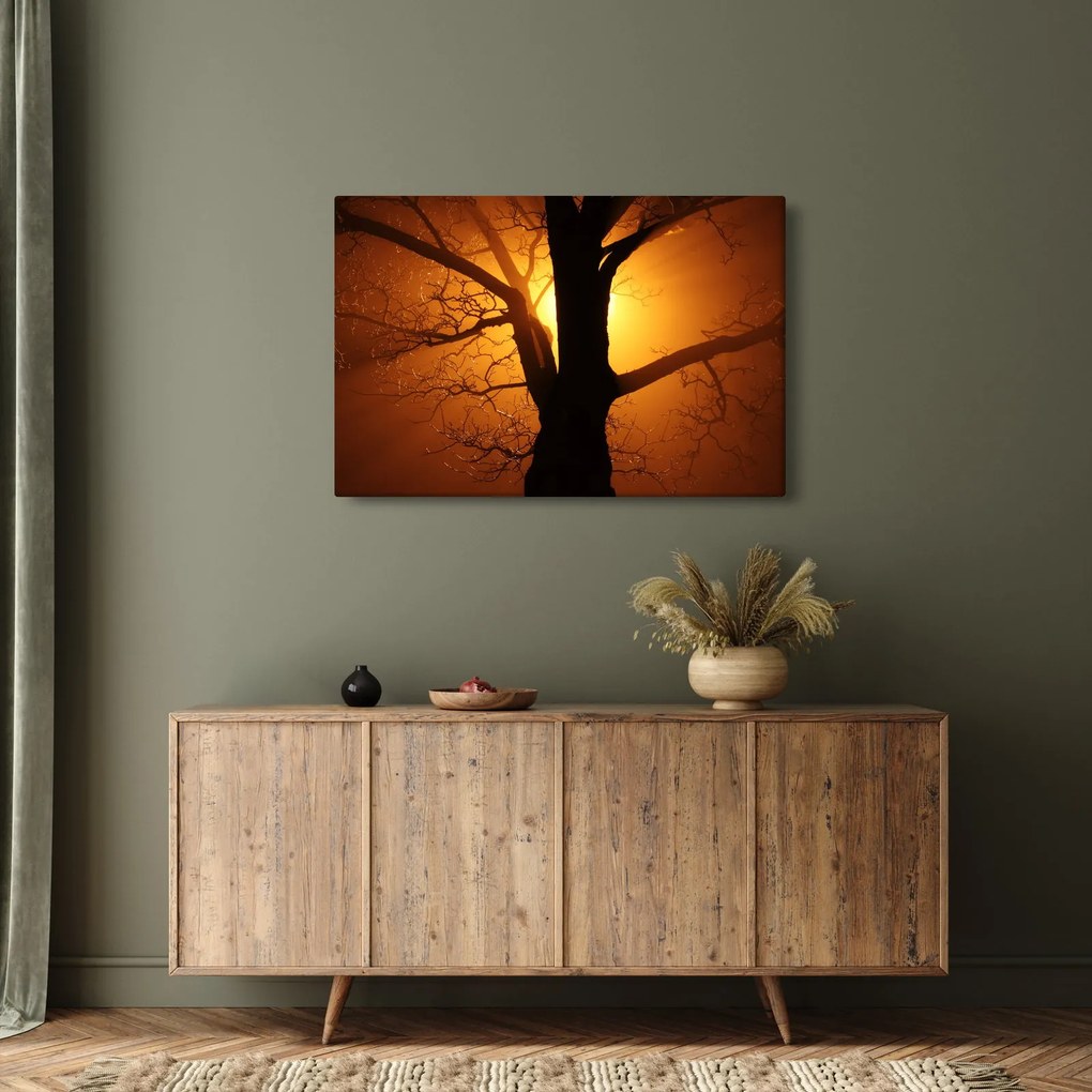 Obraz stromu pri západe slnka (90x60 cm)