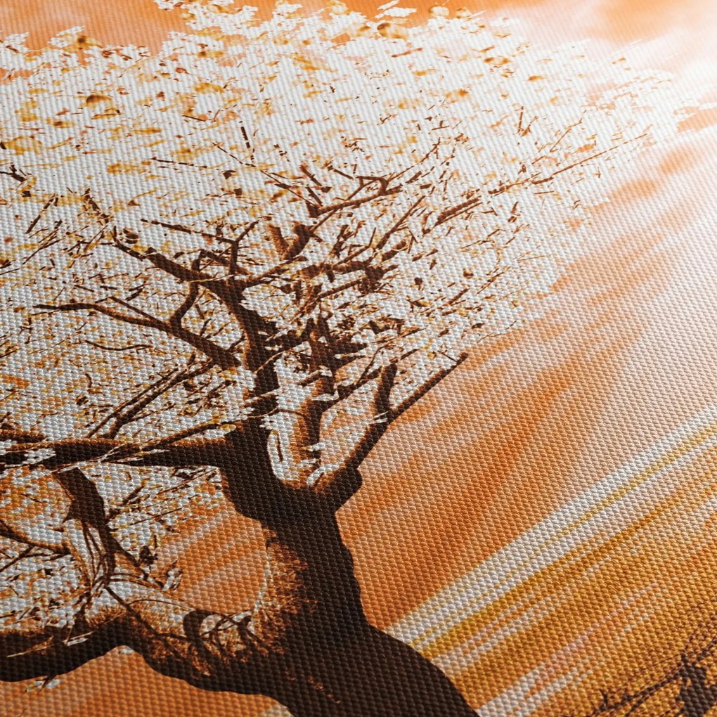 Oranžový obraz stromu (90x60 cm)