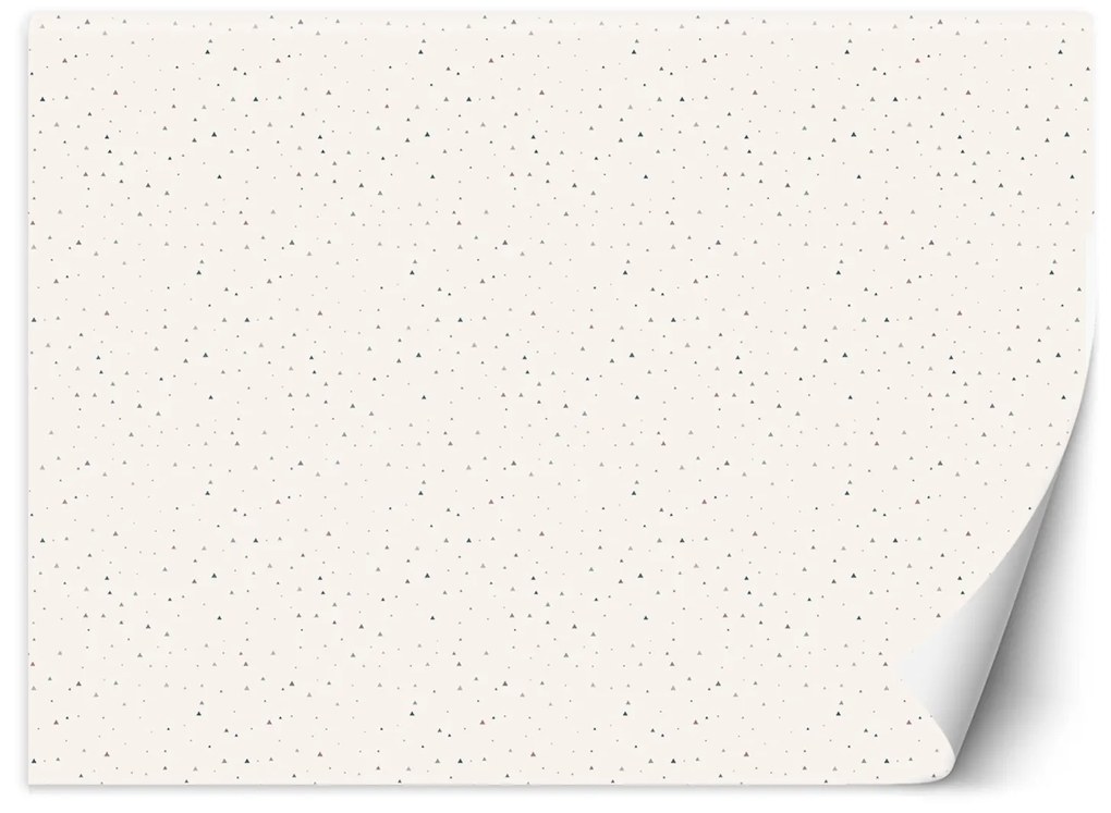 Gario Fototapeta Scandi trojuholníky Materiál: Vliesová, Rozmery: 450 x 315 cm