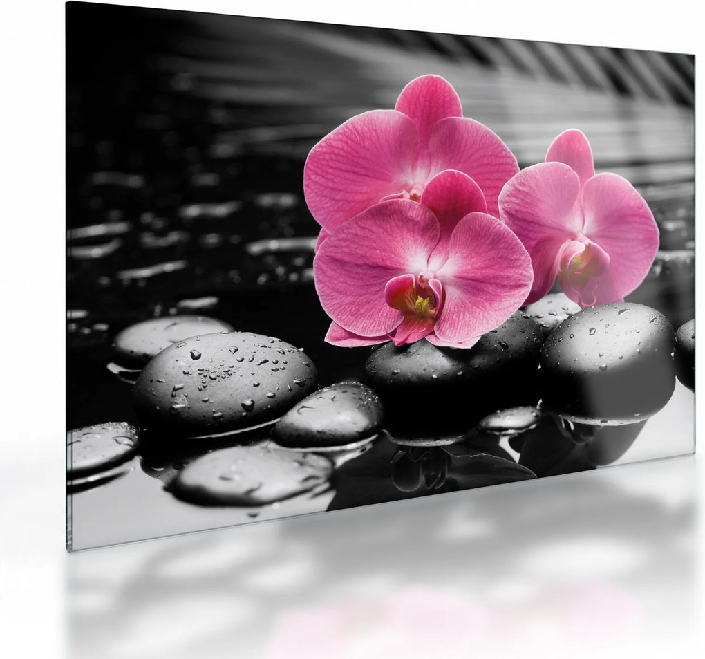 Sklenený obraz - Ružové orchidey (70x50 cm)