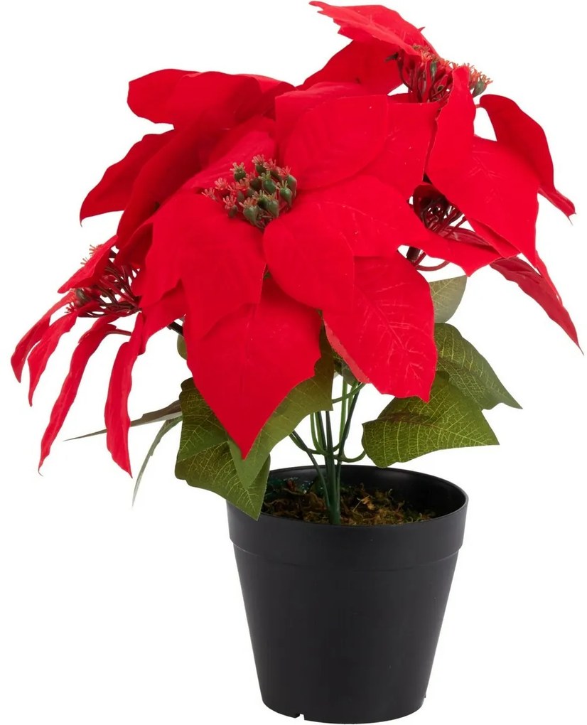 Umelá vianočná kvetina Poinsettia v kvetináči, 25 x 30 cm