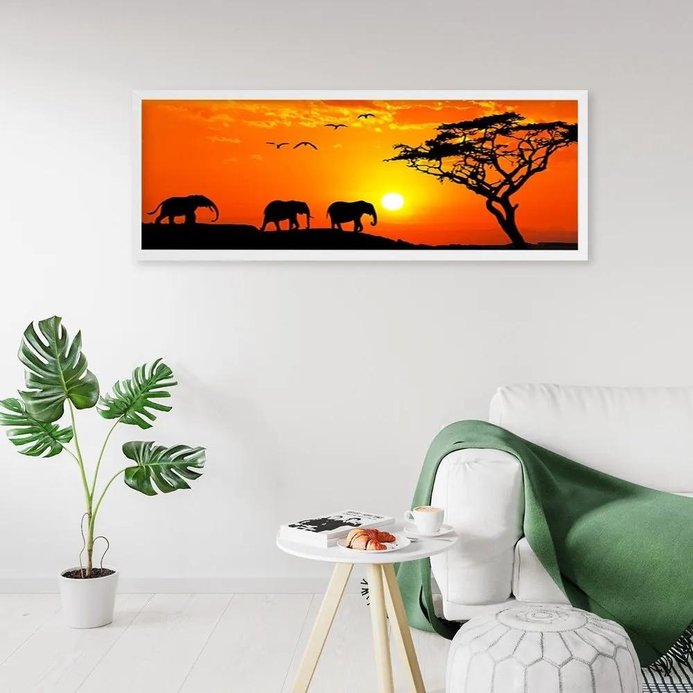 Obraz s rámom oranžová Afrika 