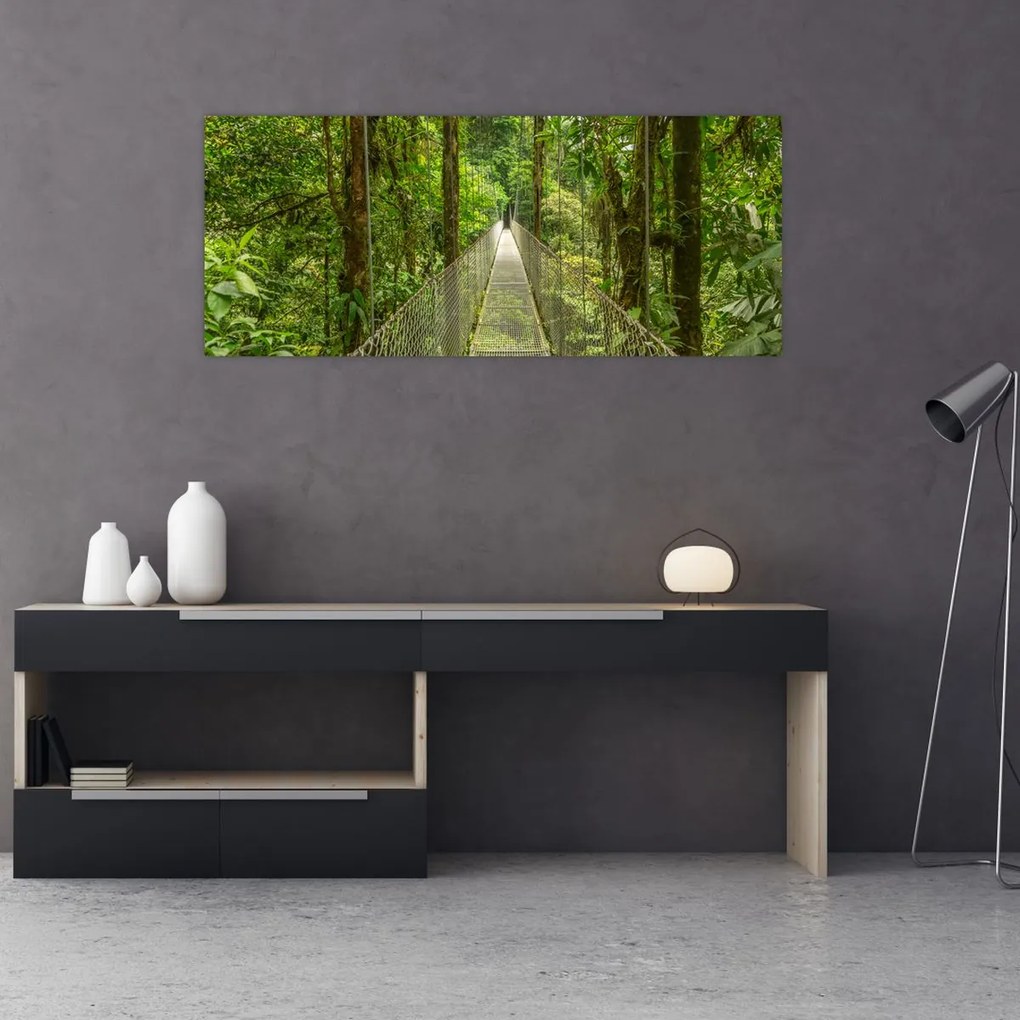 Obraz - Závesný most (120x50 cm)