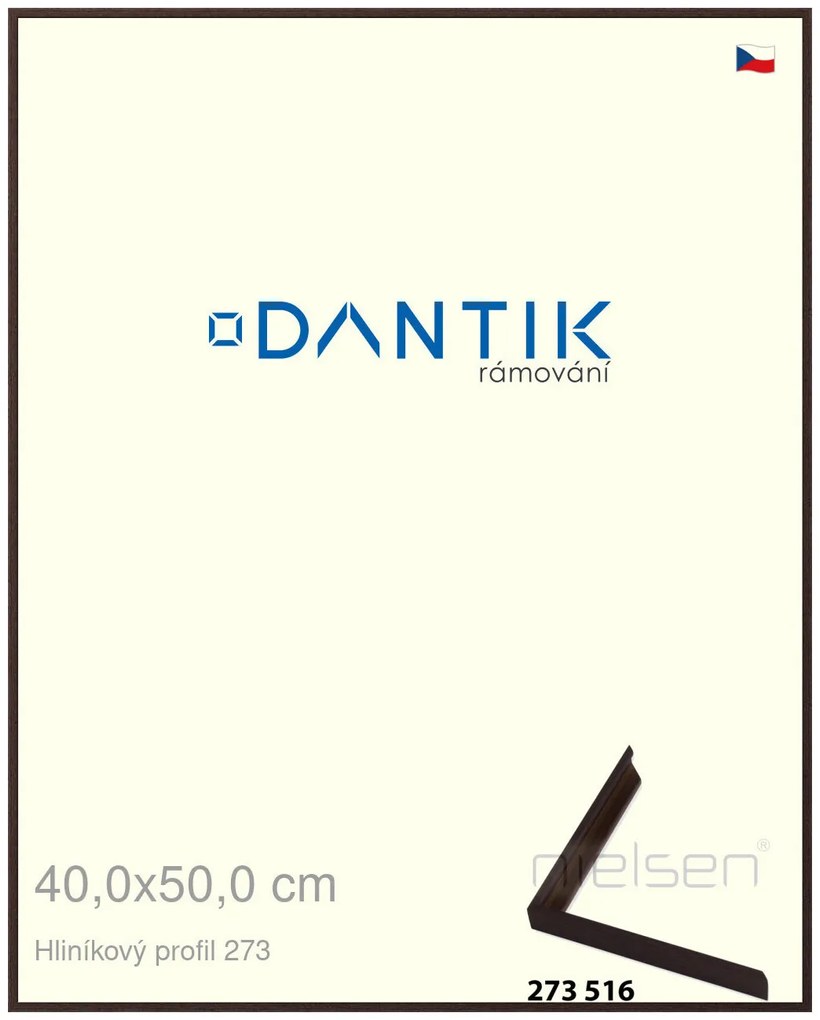 DANTIK rám na obraz 40x50 | ALU Dýha wenge tmavá (Sklo Čiré)