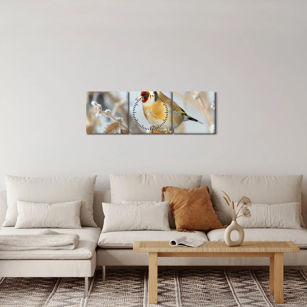 Obraz - Stehlík (s hodinami) (90x30 cm)