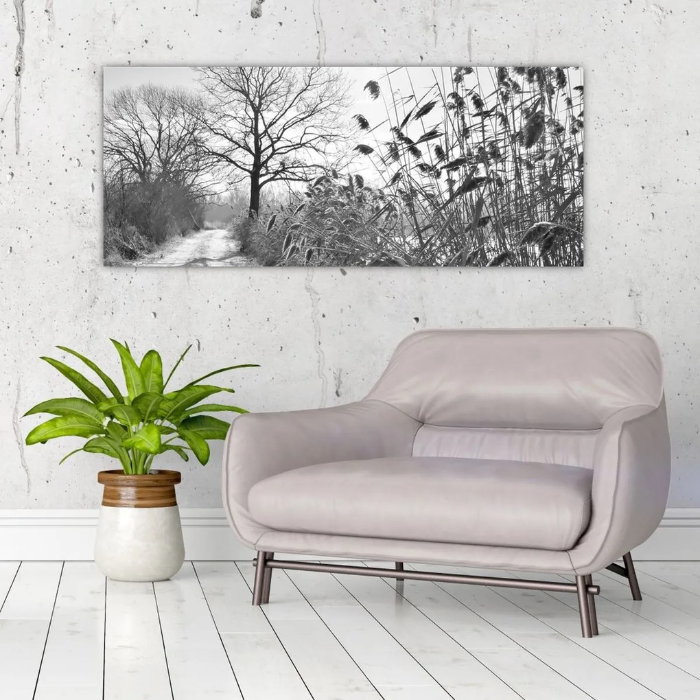 Obraz - Pole v zime (120x50 cm)