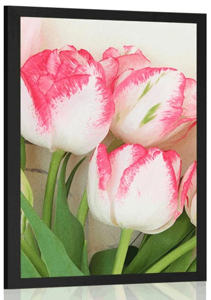 Plagát jarné tulipány - 30x45 white