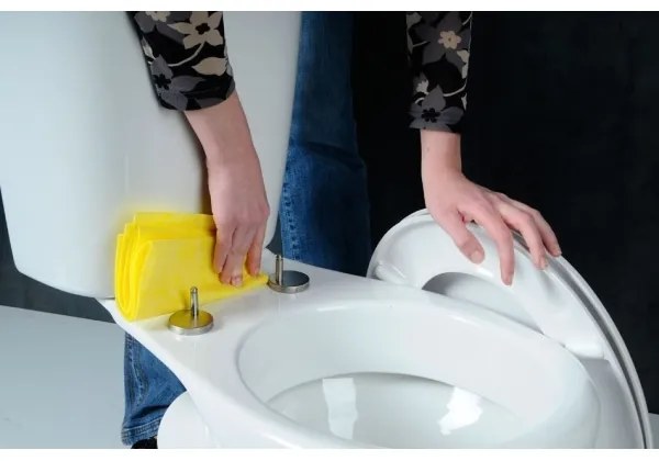 Sapho - WC sedátko ADINA SoftClose biele