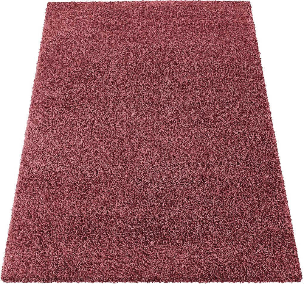 DY Červený jednofarebný shaggy koberec Santo Rozmer: 200x290 cm