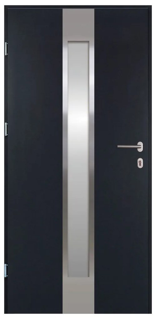 Vchodové dvere Neptun, 90 L, rozmer vr. zárubne: 1000 × 2070 mm, oceľ, ľavé, antracit, presklené