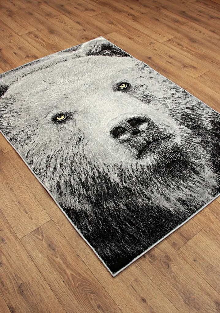 Koberec Kolibri 11365/190 rozmery koberec: 120x170 cm