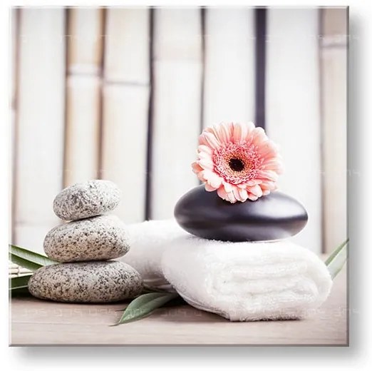 Obraz na plátne FENG SHUI_053-12 | rôzne rozmery
