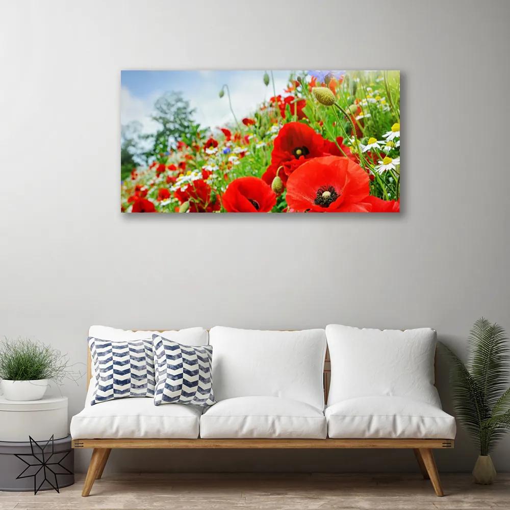 Obraz na plátne Kvety príroda 140x70 cm