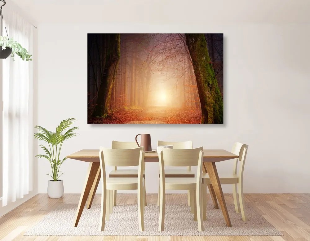 Obraz les v rozprávkových farbách Varianta: 120x80