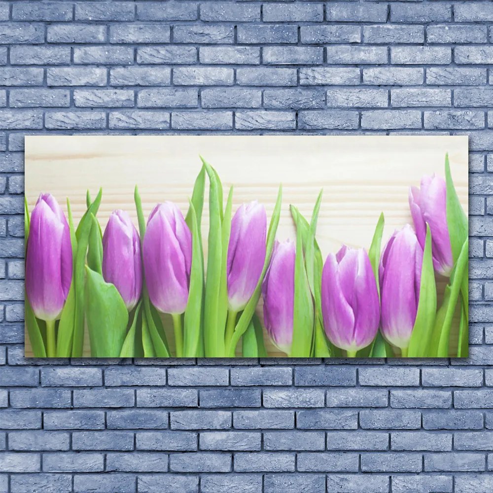 Obraz plexi Tulipány kvety príroda 120x60 cm