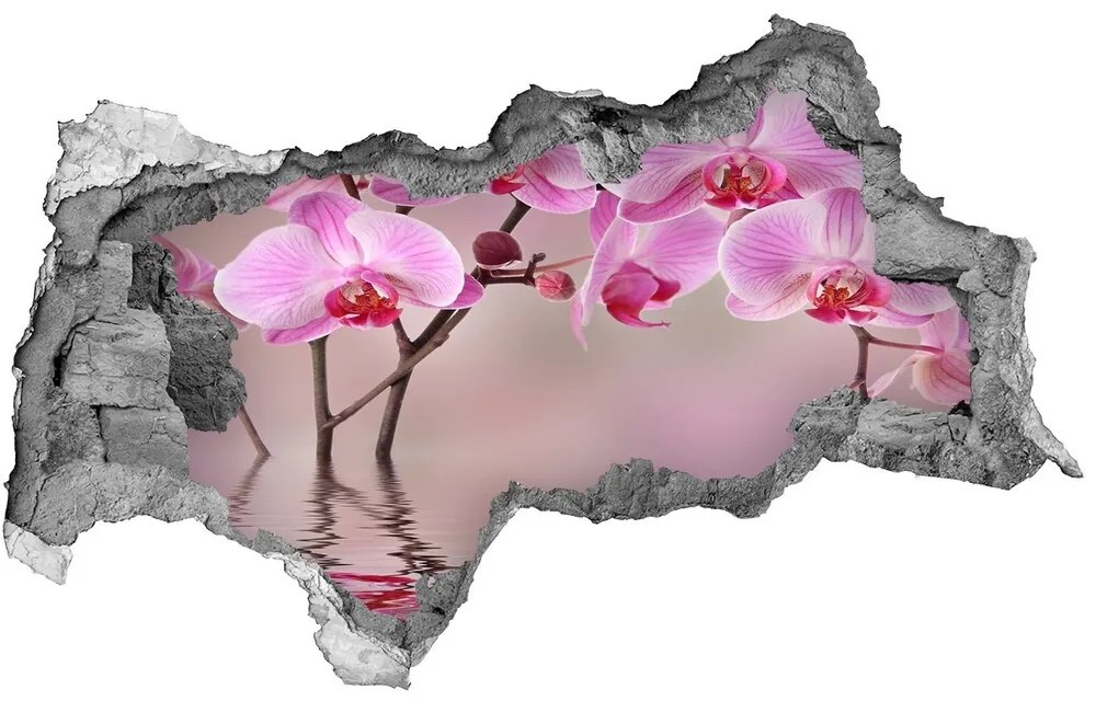 Samolepiaca diera na stenu Ružová orchidea nd-b-79883275