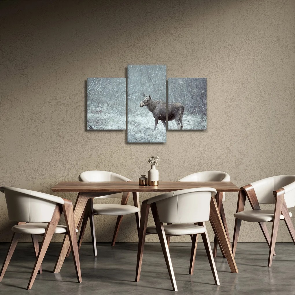Obraz - Los v zasneženom lese (90x60 cm)