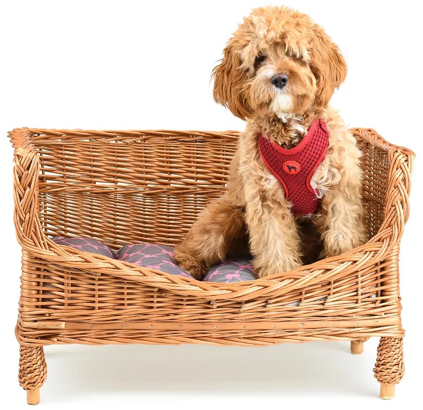 Pelíšek proutěný pro zvířata Sofa I.š. 64 x hl. 37 x v. 40(cm)