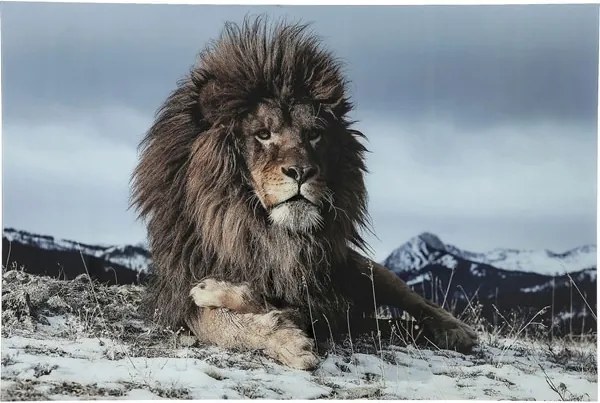 KARE DESIGN Obraz na skle Prúd Lion 120 × 180 cm