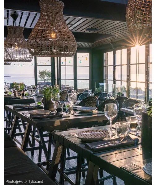 ByRydens 4200010-5507 - Luster na lanku SEAGRASS 1xE27/8W/230V