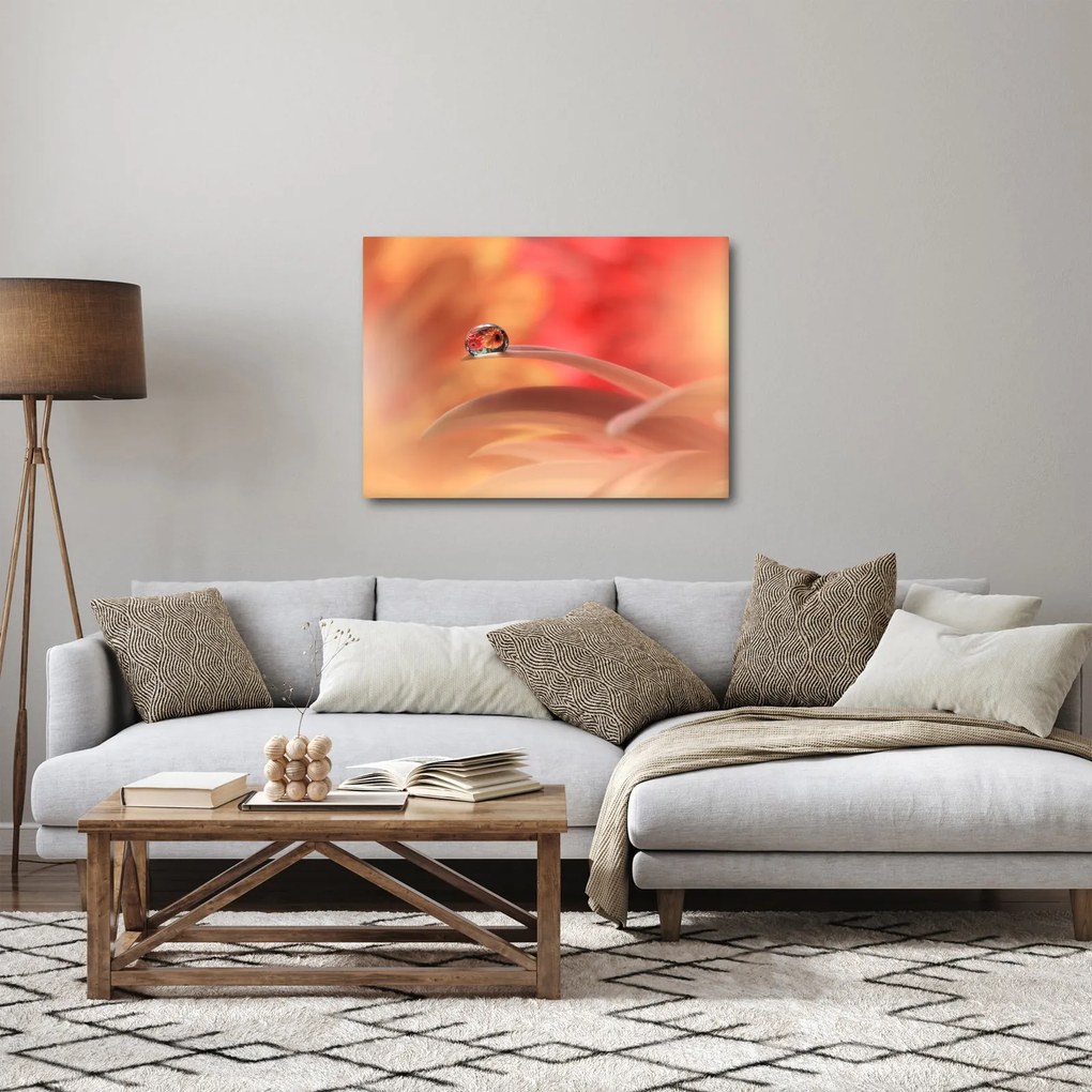 Obraz kvetinové kvapky rosy (70x50 cm)